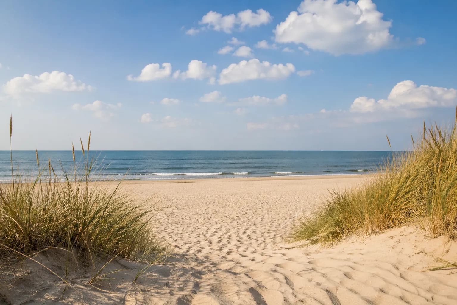 A beach with dunes as inspiration for a personalized children's book